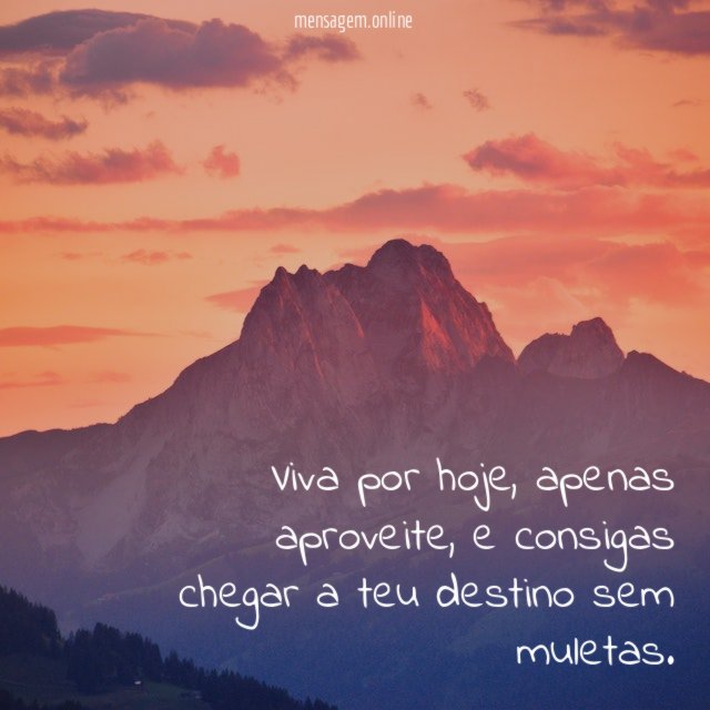 Viva por hoje