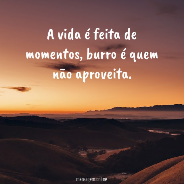 A vida é feita de momentos