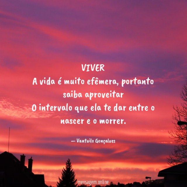 VIVER