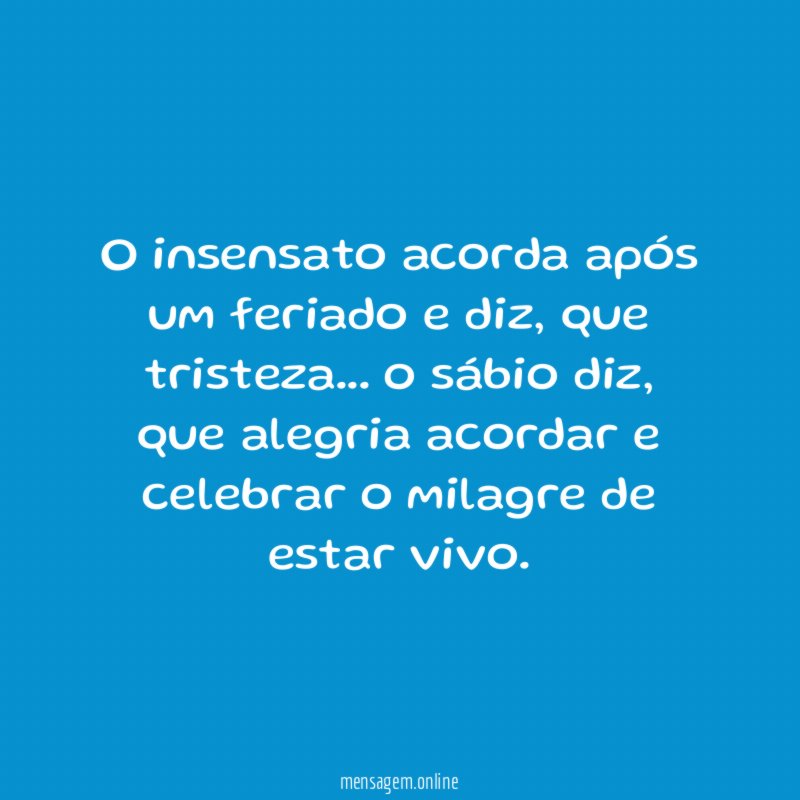 O insensato acorda após um feriado e diz