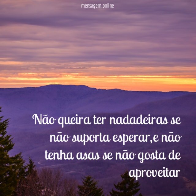 Não queira ter nadadeiras se não suporta esperar