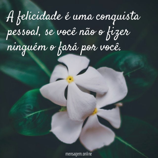 Conquistar