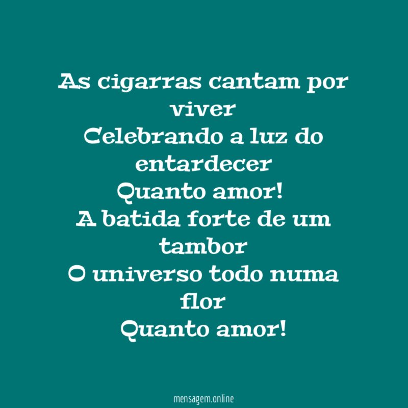 As cigarras cantam por viver Celebrando a luz do entardecer Quanto amor