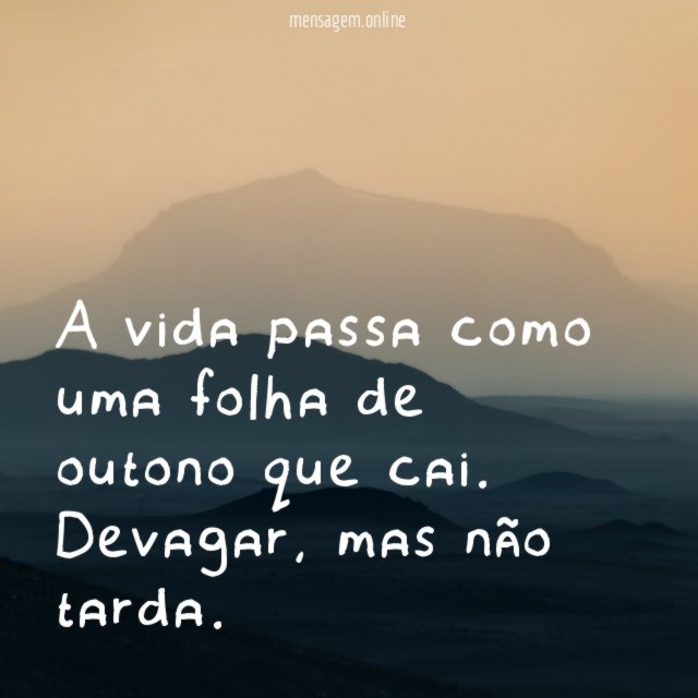A vida passa como uma folha de outono que cai