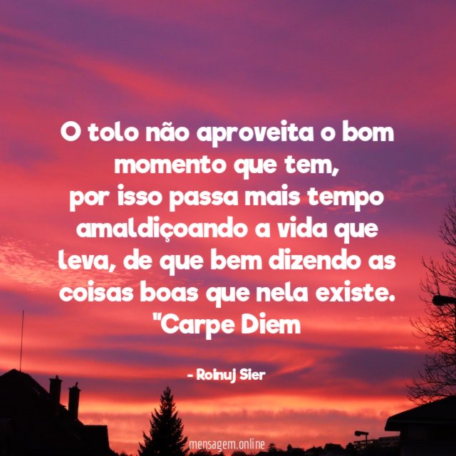 O tolo não aproveita o bom momento que tem