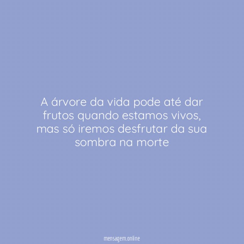 A árvore da vida pode até dar frutos quando estamos vivos