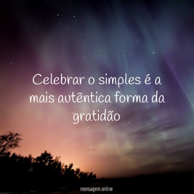Celebrar o simples é a mais autêntica forma da gratidão