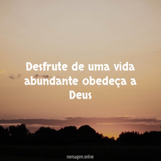 Desfrute de uma vida abundante obedeça a Deus