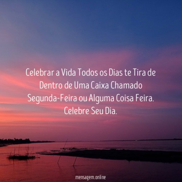 Celebrar a Vida Todos os Dias te Tira