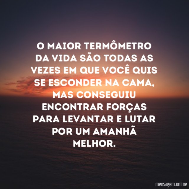 Termômetro da vida