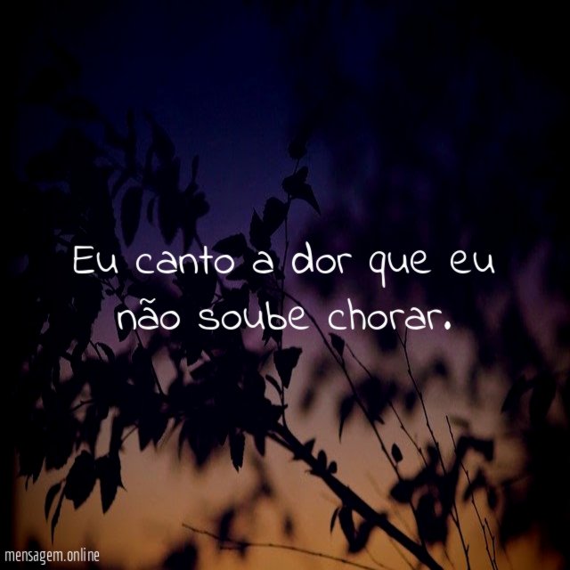 Eu canto a dor que eu não soube chorar