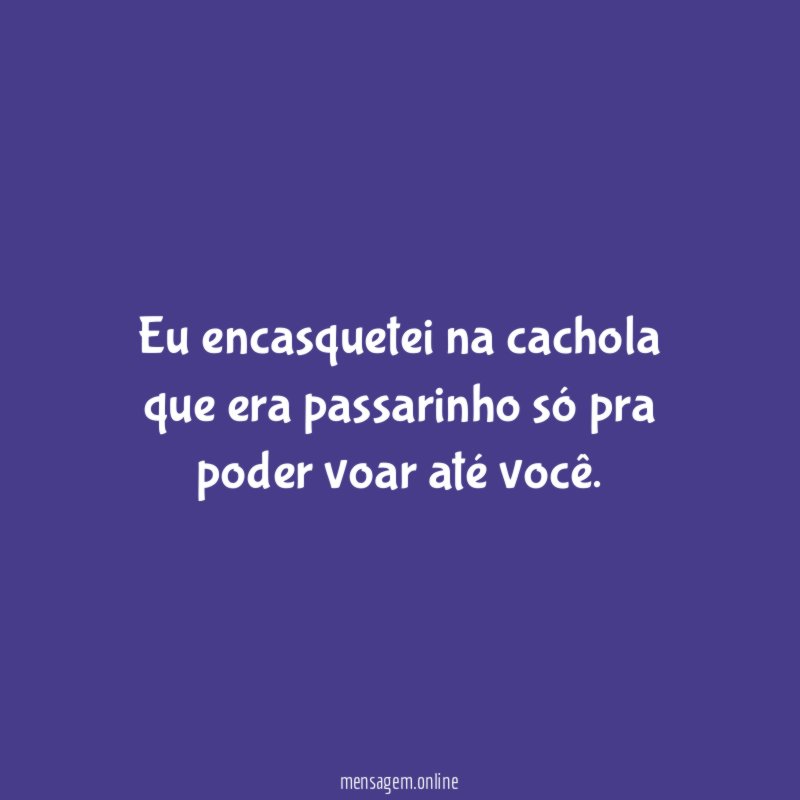Eu encasquetei na cachola que era passarinho só