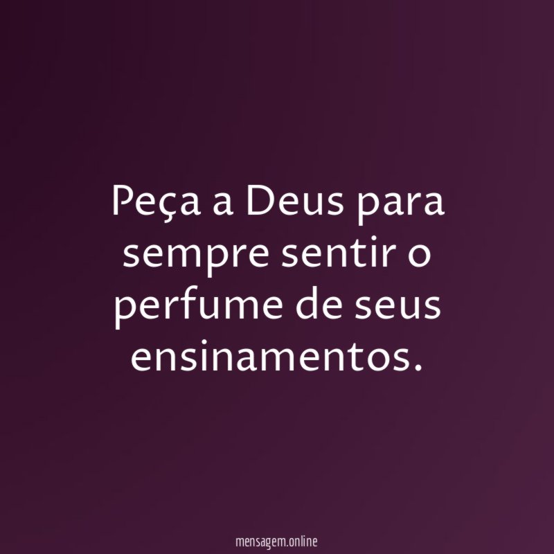 Peça a Deus para sempre sentir o perfume de seus ensinamentos