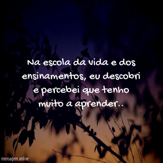 Na escola da vida e dos ensinamentos