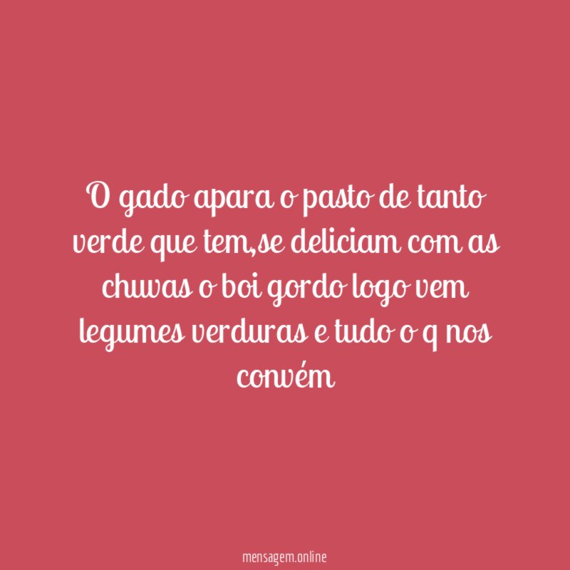 O gado apara o pasto de tanto verde que tem