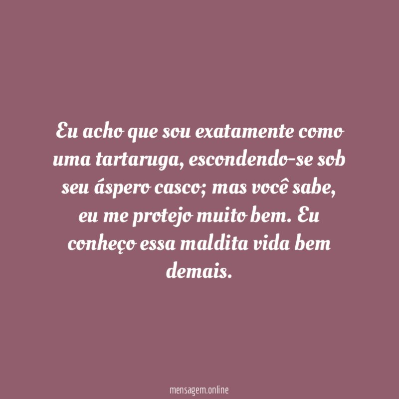 Eu acho que sou exatamente como uma tartaruga