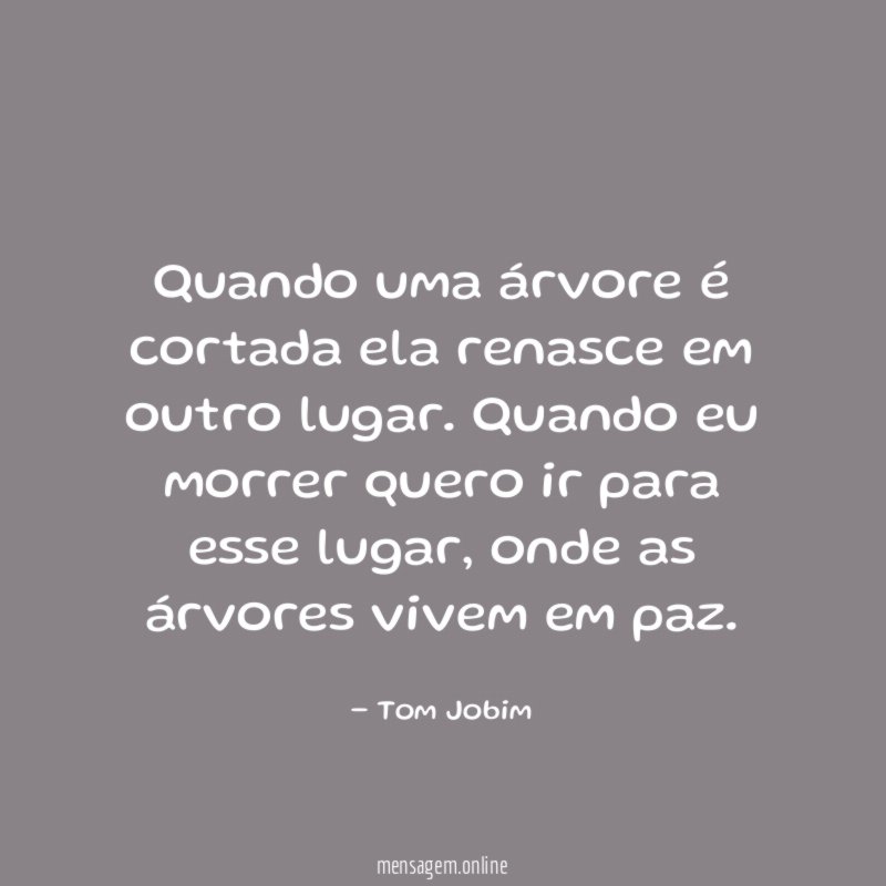 Quando uma árvore é cortada ela renasce em outro lugar