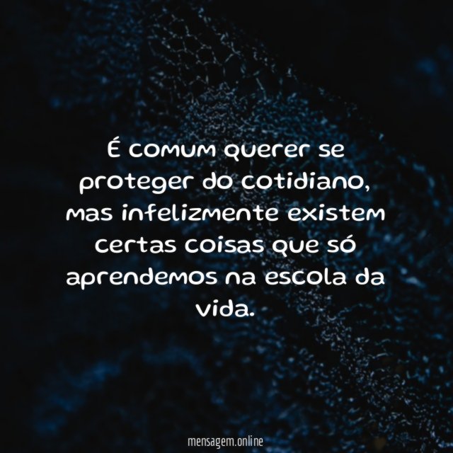 Escola da vida