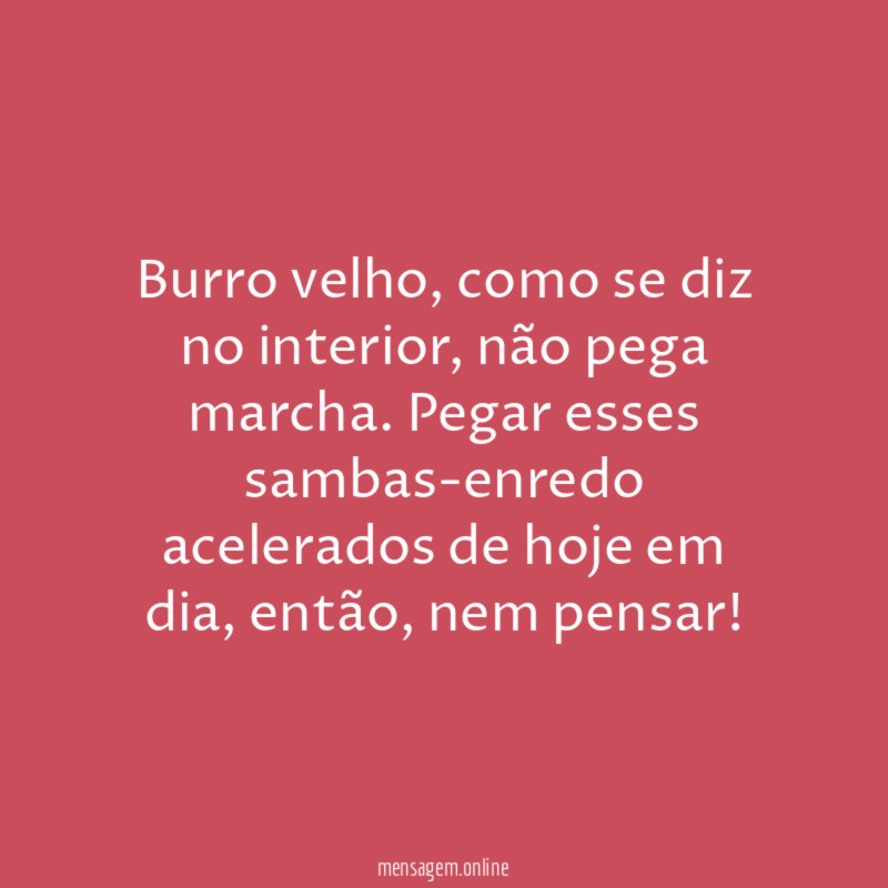 Burro velho