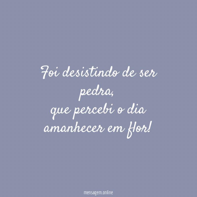 Foi desistindo de ser pedra