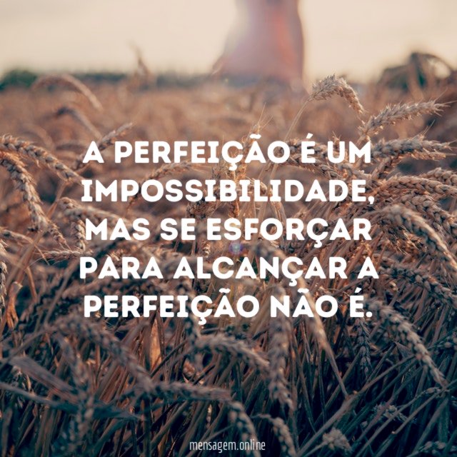 A perfeição é um impossibilidade