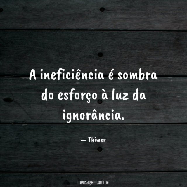 A ineficiência é sombra do esforço à luz da ignorância