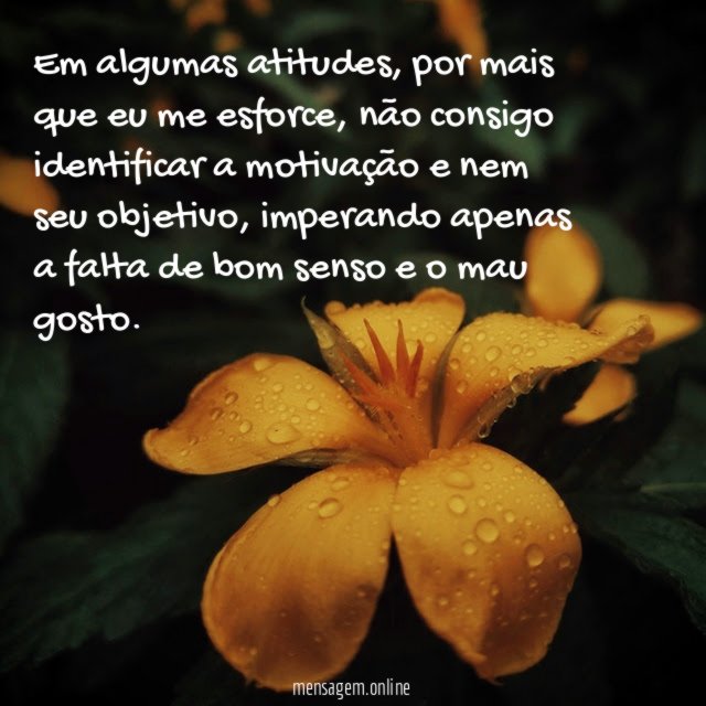 Em algumas atitudes
