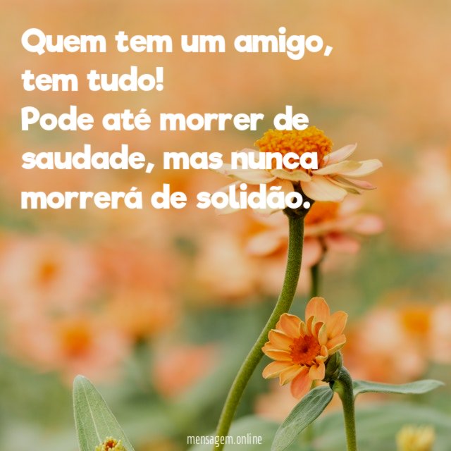 Amizade é nunca estar só