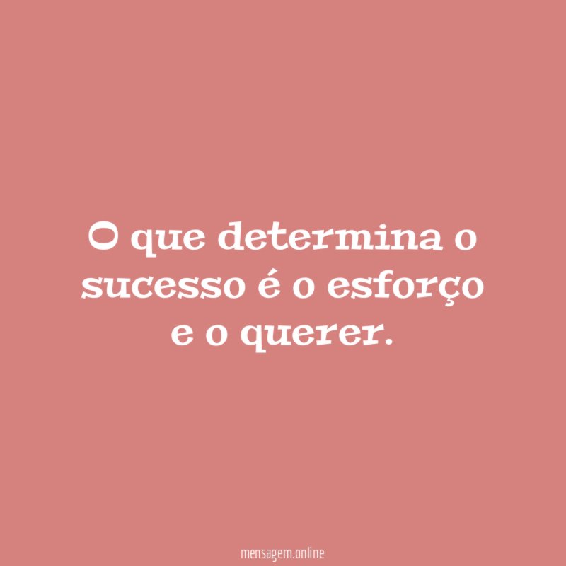 O que determina o sucesso é o esforço e o querer