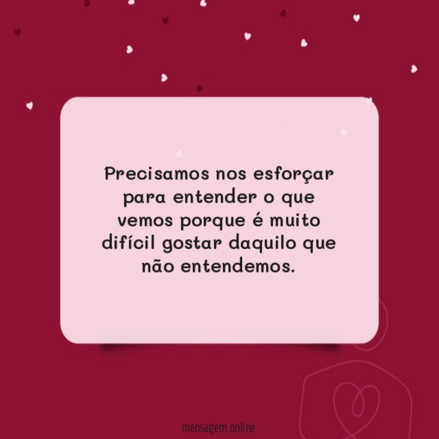 Precisamos nos esforçar para entender o que vemos