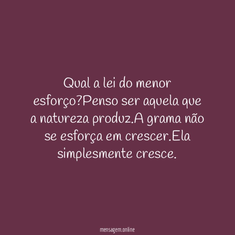 Qual a lei do menor esforço