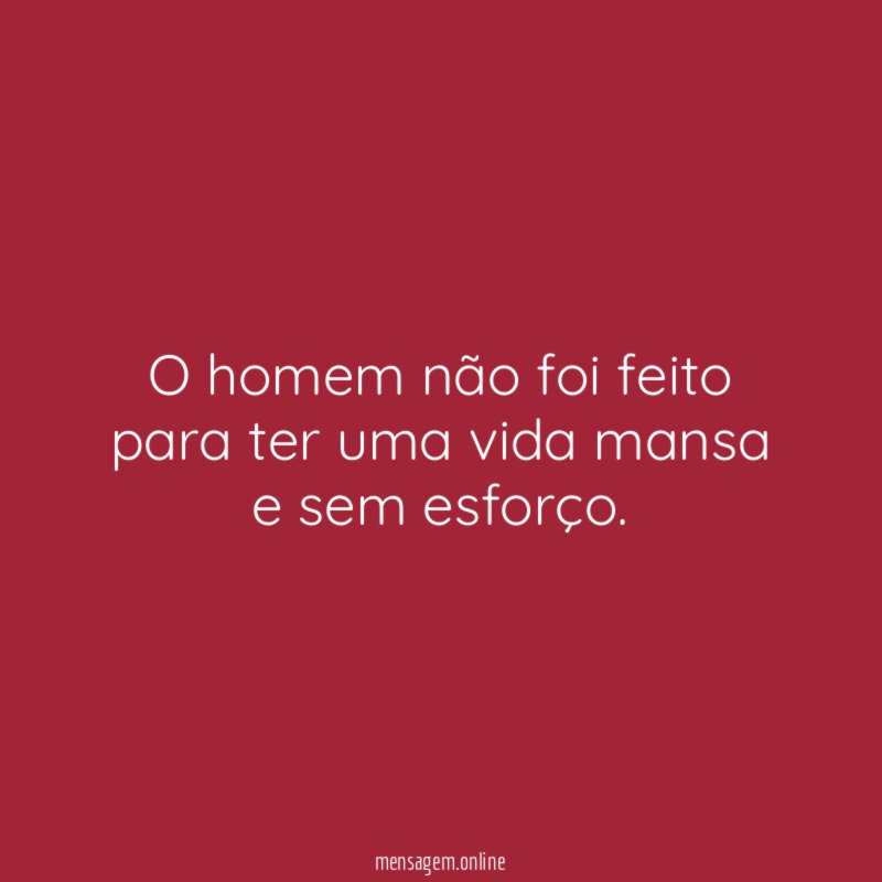 O homem não foi feito para ter uma