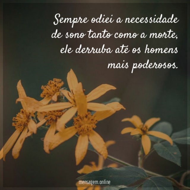Sempre odiei a necessidade de sono tanto como a morte