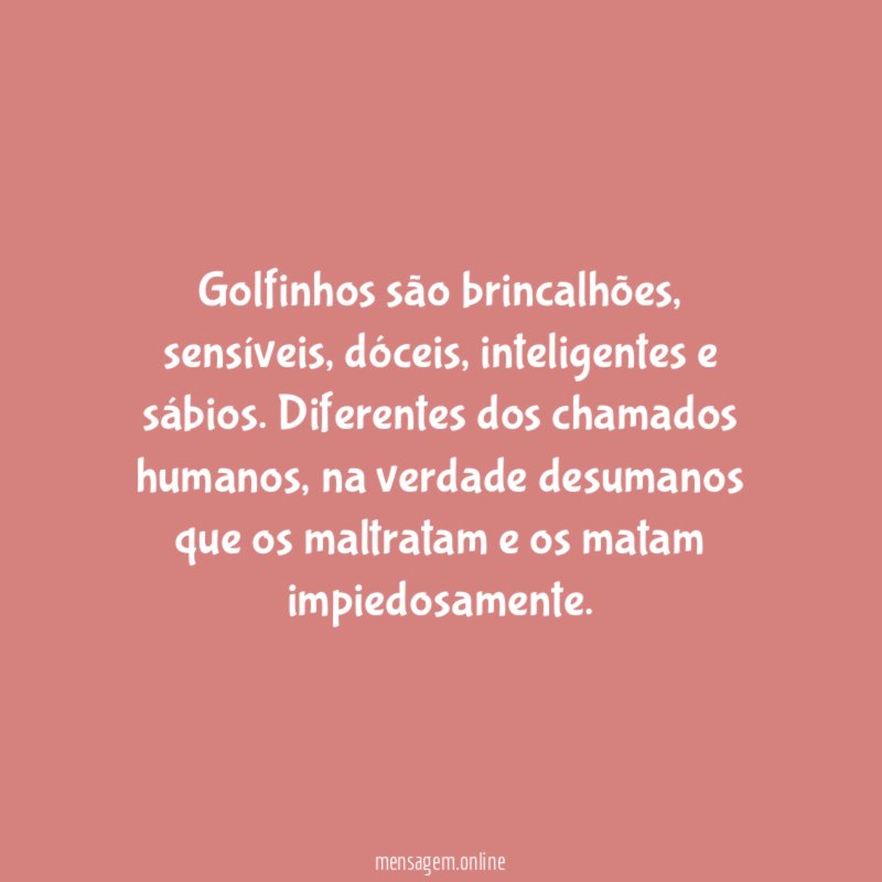 Golfinhos são brincalhões