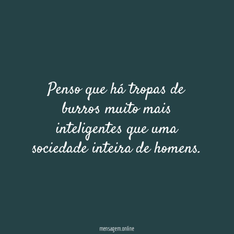 Penso que há tropas de burros muito mais