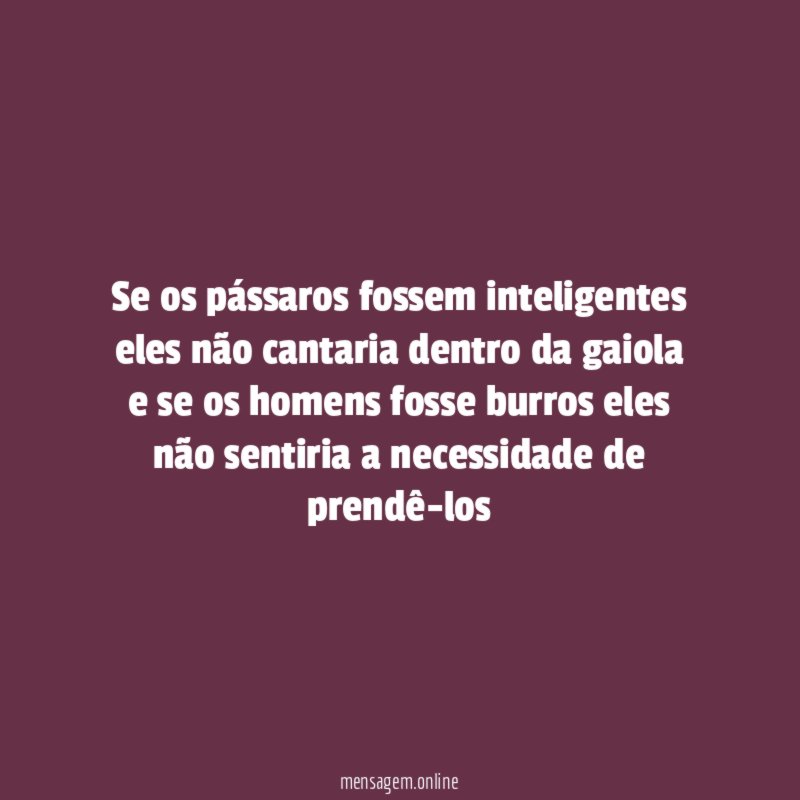 Se os pássaros fossem inteligentes eles não cantaria