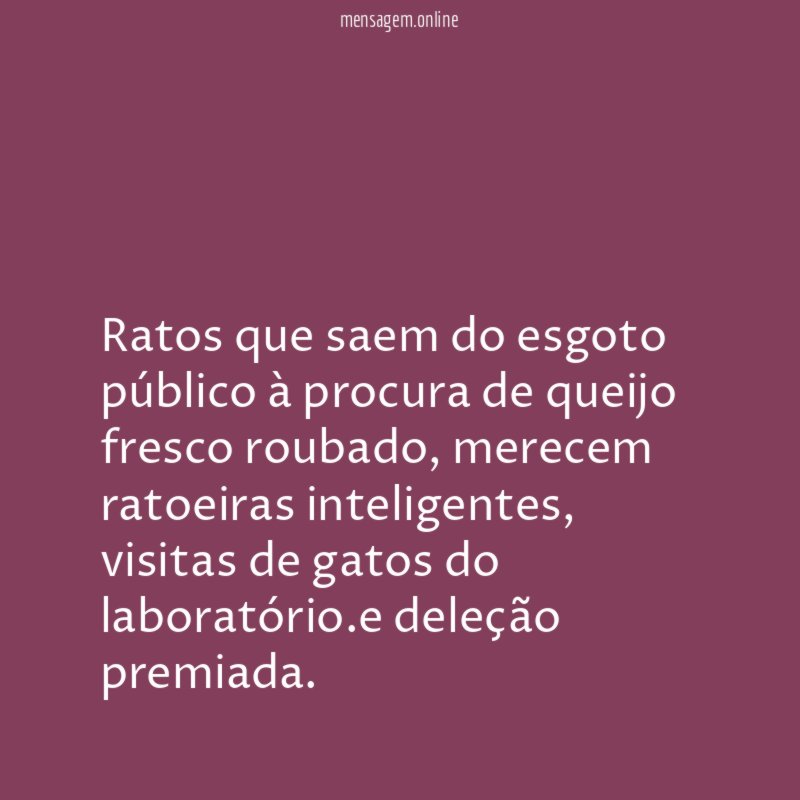 Ratos que saem do esgoto público à procura de queijo fresco roubado