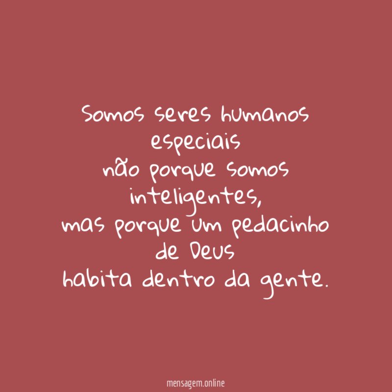 Somos seres humanos especiais não porque somos inteligentes