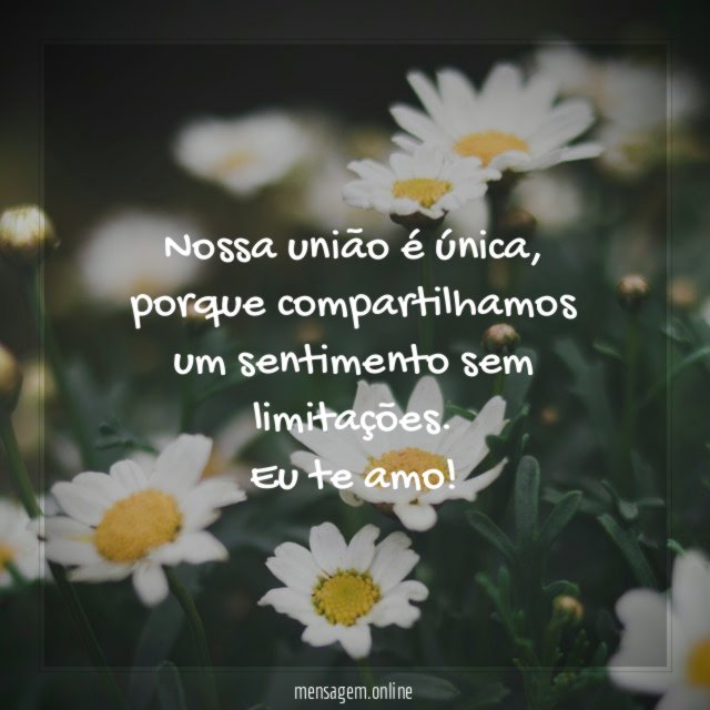 Um Amor Único e Sem Limitações