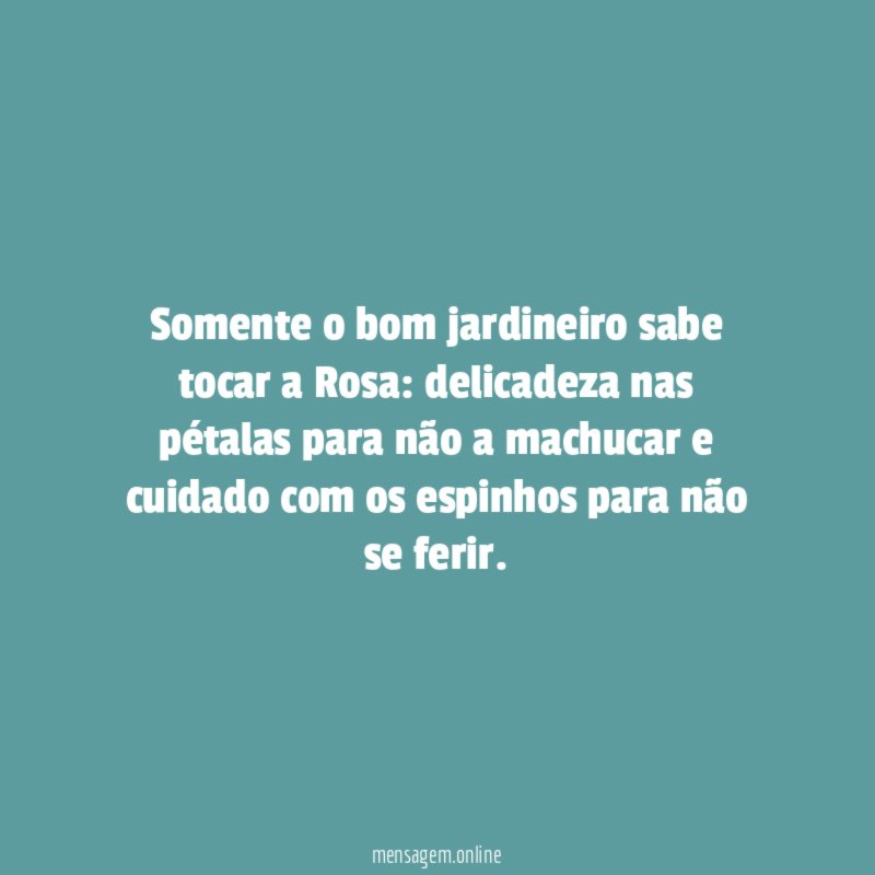 Somente o bom jardineiro sabe tocar a Rosa