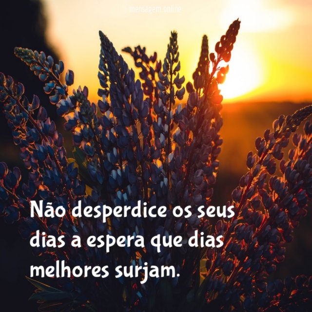 Não desperdice os seus dias a espera que dias melhores surjam