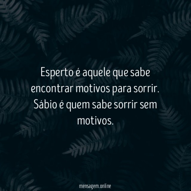 Esperto x Sábio