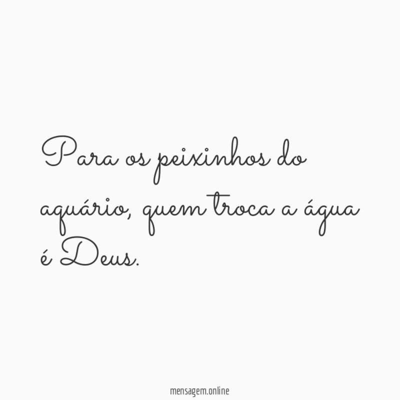 Para os peixinhos do aquário