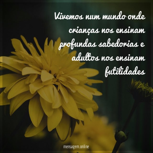 Vivemos num mundo onde crianças nos ensinam profundas