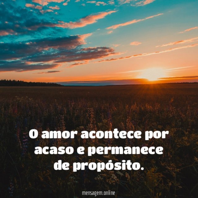O amor acontece por acaso e permanece de propósito