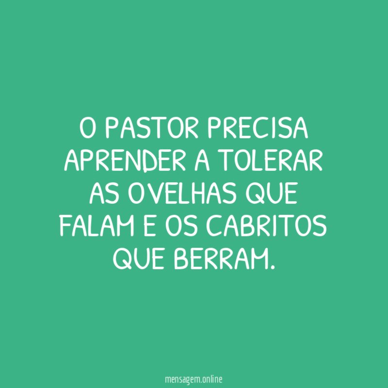 O pastor precisa aprender a tolerar as ovelhas