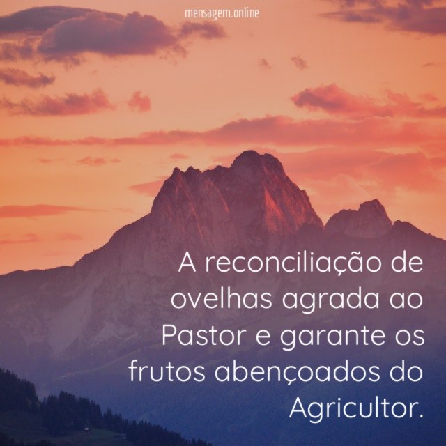 A reconciliação de ovelhas agrada ao Pastor