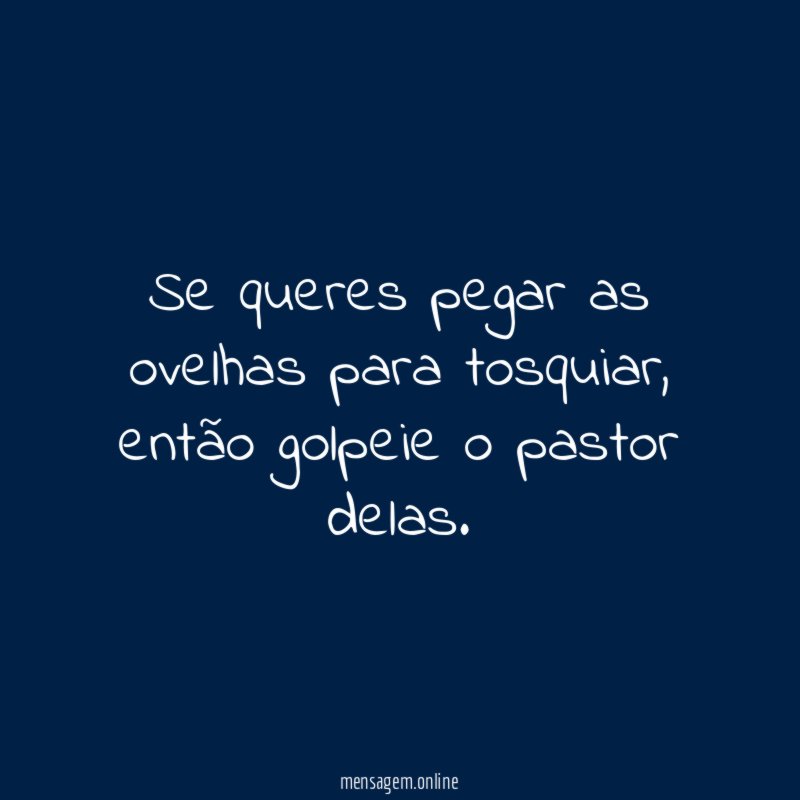 Se queres pegar as ovelhas para tosquiar