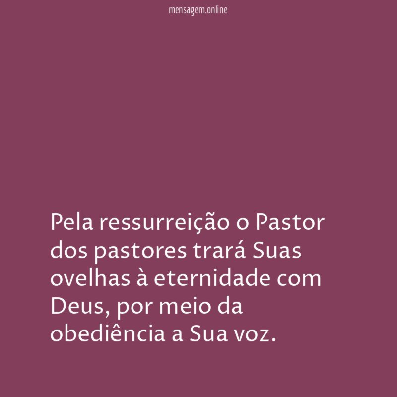 Pela ressurreição o Pastor dos pastores trará Suas