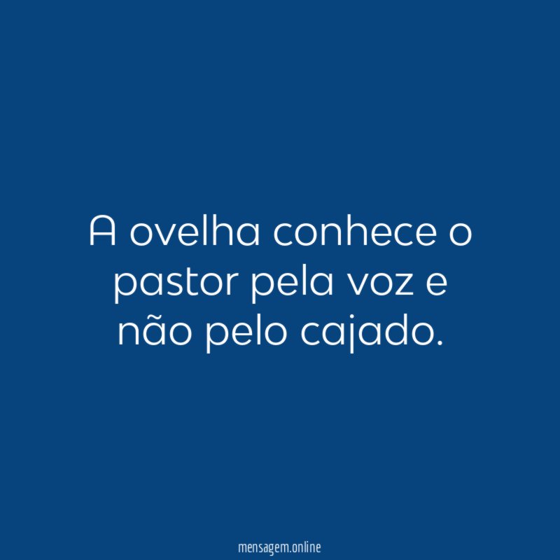 A ovelha conhece o pastor pela voz e não pelo cajado